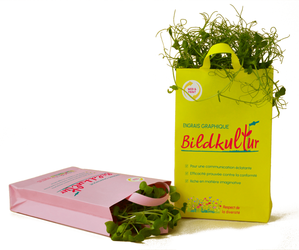 Illustration pour présenter l'originalité des créations de Bildkultur