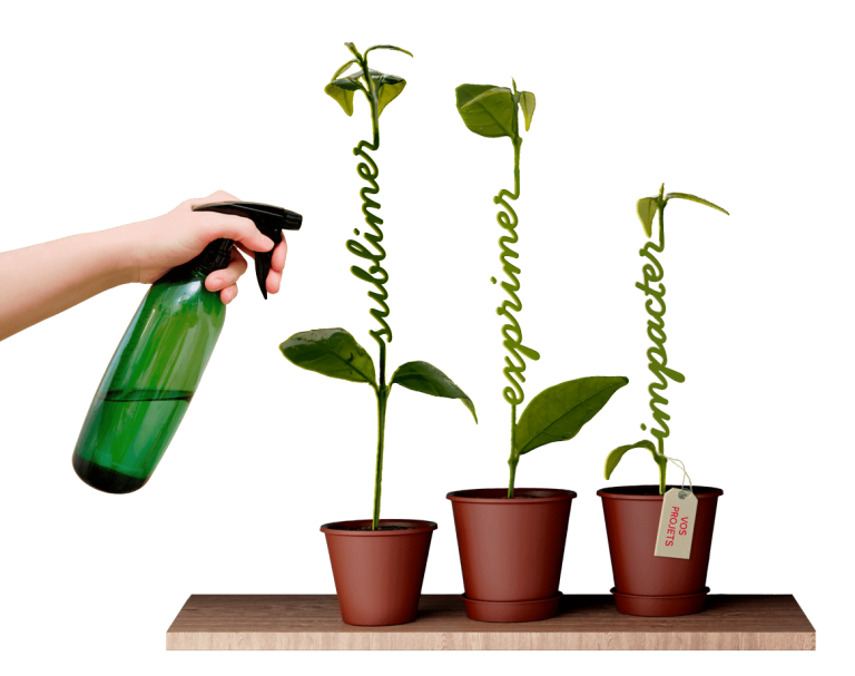 Illustration de Bildkultur